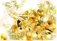 [DC Project (Dirty Matsumoto)] Josou Bitenshi Vol.1