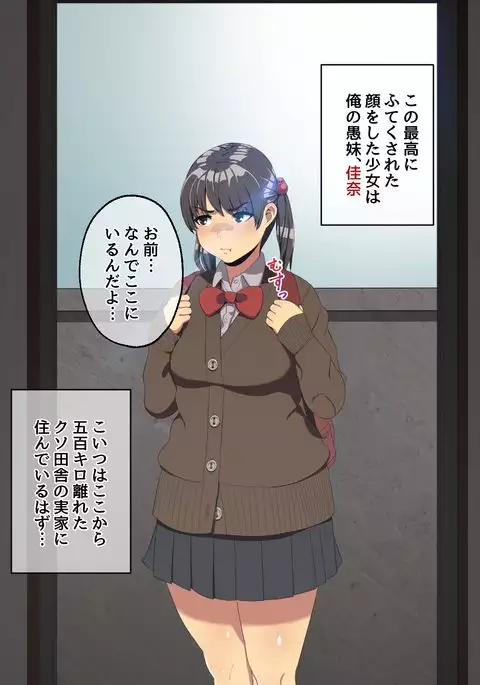 Imouto to Sex Zanmai!