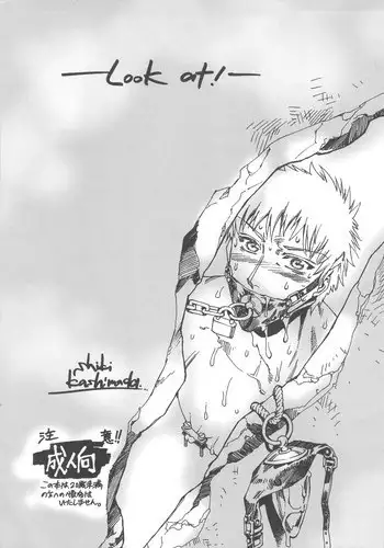 (Osuket F) [Onaka Sousho (Kashimada Shiki)] Look At!