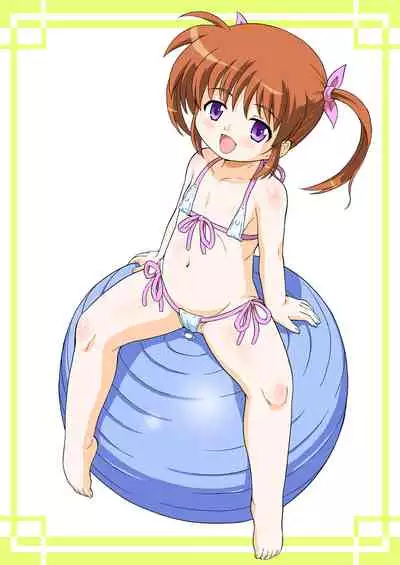 Nanoha-chan Kouhou Senden Taichou Soushuuhen Hon