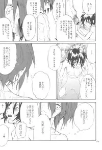 [NEO-de (Natsuzaka)] Tadashii Hito (Gundam Seed Destiny)