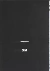 (C63) [STUDIO VANGUARD (Minazuki Juuzou)] SM (Bishoujo Senshi Sailor Moon)