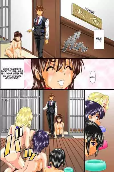 Meinu Top Breeder | Bitch Top Breeder