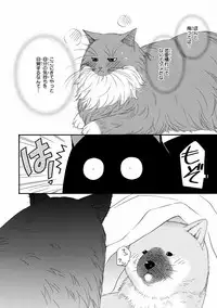 MAGAZINE BE×BOY 2016-09