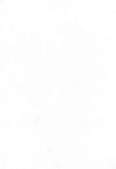 Imouto Ou 4 Offset-ban