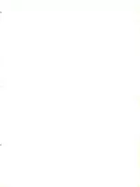 FLOWER VICTIM II MARYBELL EDITION