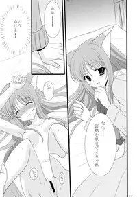 (C74) [kurousagi (Kayura Yuka, UTATA)] Dear Kuro Usagi (Spice and Wolf)