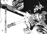 (C54) [GALAXIST (BLADE)] Samurai Tama SAMRAY the REMIXED SPIRITS (Samurai Spirits)