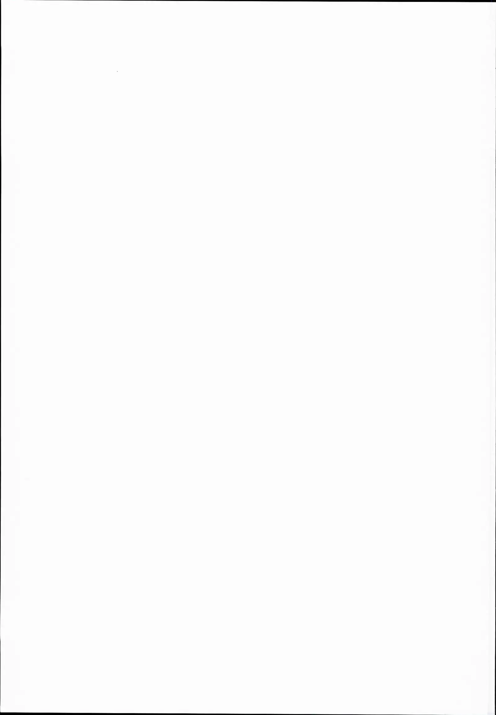 SLS! Kawaii Yousei o Onahole ni Shiyou