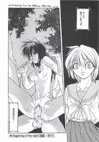 [Shizaki Masayuki] Abyssinian