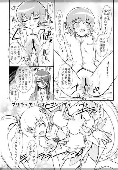 (C78) [Project Harakiri (Kaishaku)] Twilight ~Newmoon~ (Heart Catch Precure!)