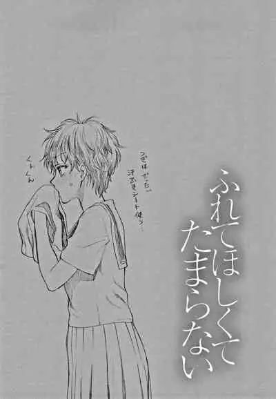 [Syoukaki] Furete Hoshikute Tamaranai