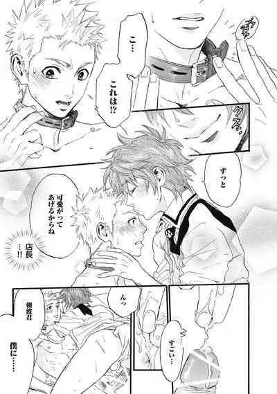 Hatsujou Pet Choukyouchuu!