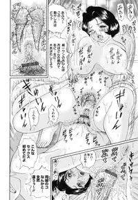 [Ninomiya Ryouzou] Junketsu Maniac Seijo