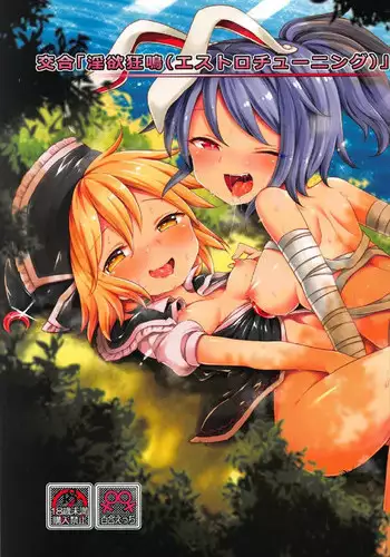 (C92) [Unmei no Ikasumi (Harusame)] Kougou "Estro Tuning" (Touhou Project)