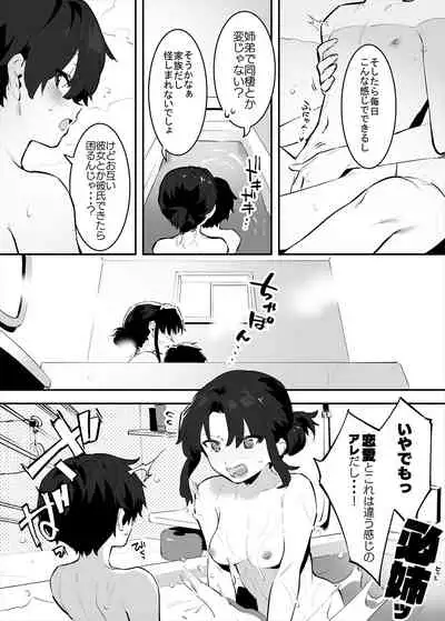 してる姉弟の休日