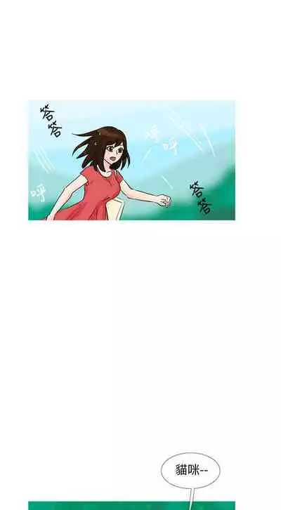 小野貓馴服手冊