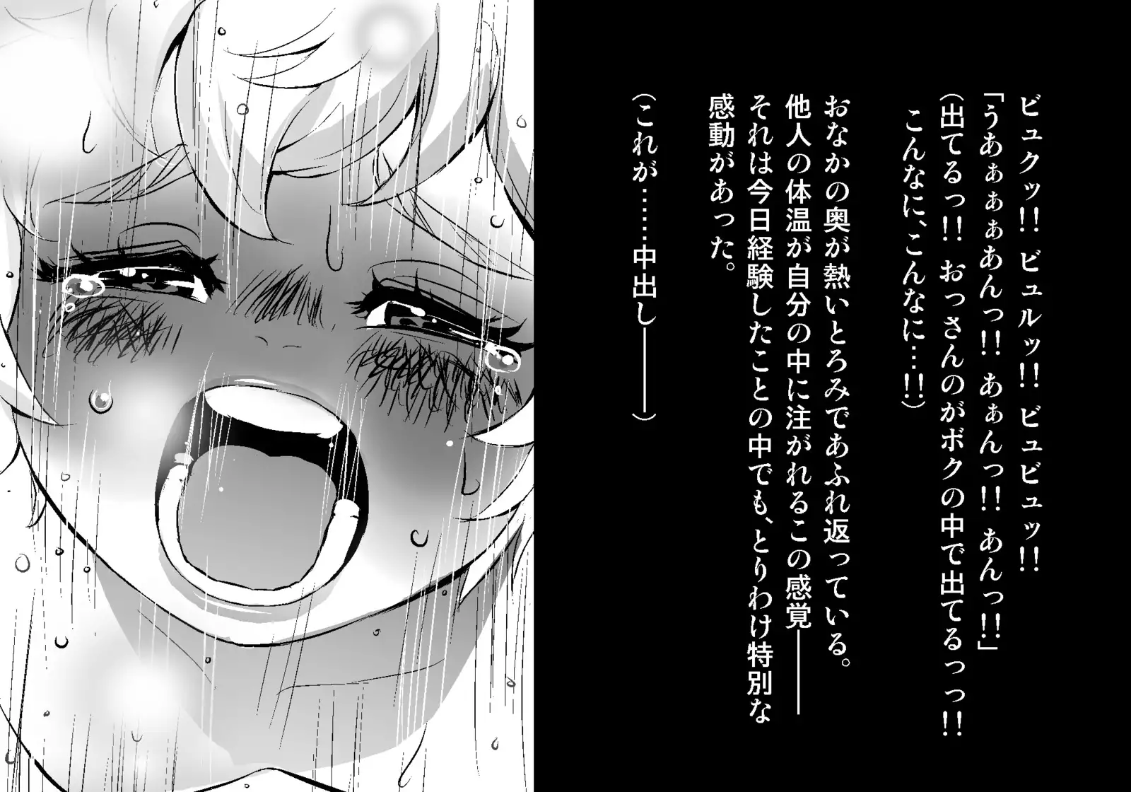 フェアリーセティ