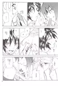 [NEO-de (Natsuzaka)] Tadashii Hito (Gundam Seed Destiny)