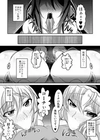 [Bitch Bokujou (Bokujou Nushi K)] GIRLS MEET DQN’S TINPO (Infinite Stratos) [Digital]