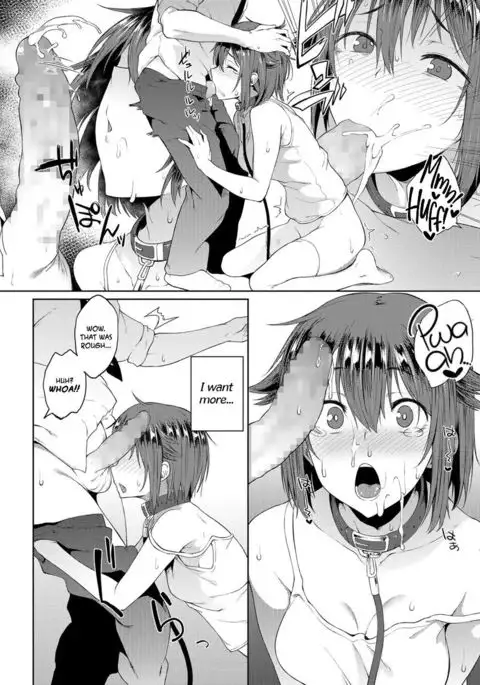 Wonder Collar =TLL + mrwayne=