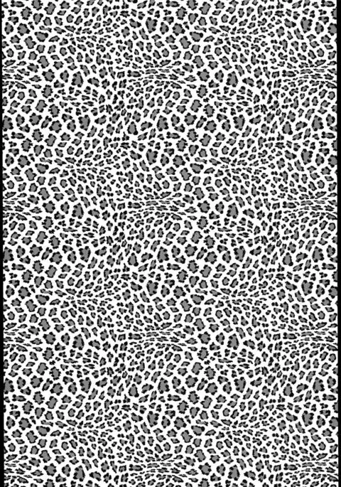 Kawakaze, Kai Ni ni Narutte yo.