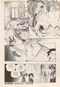 COMIC Penguin Celeb 2006-08