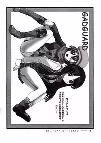 (C64) [Style-C3] Hime Cut na Arashi wo Misenai. (Gad Guard)