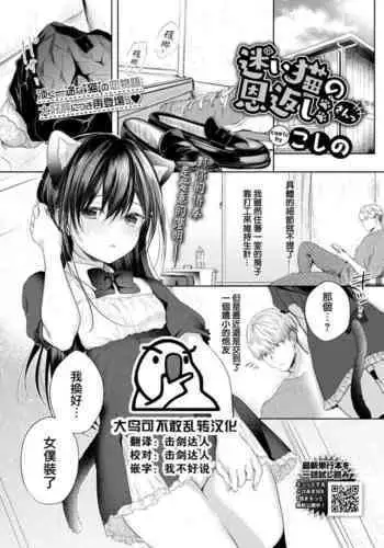 [Koshino] Mayoineko no Ongaeshi 3 (COMIC BAVEL 2022-07) [Chinese] [大鸟可不敢乱转汉化] [Digital]
