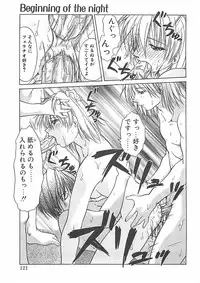 [Shizaki Masayuki] Abyssinian