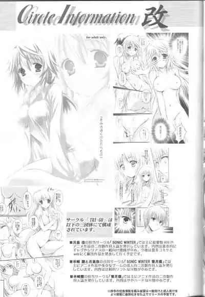 (C80) [SONIC WINTER (Tsukishima Kai)] VISION Fifteen (Rewrite)