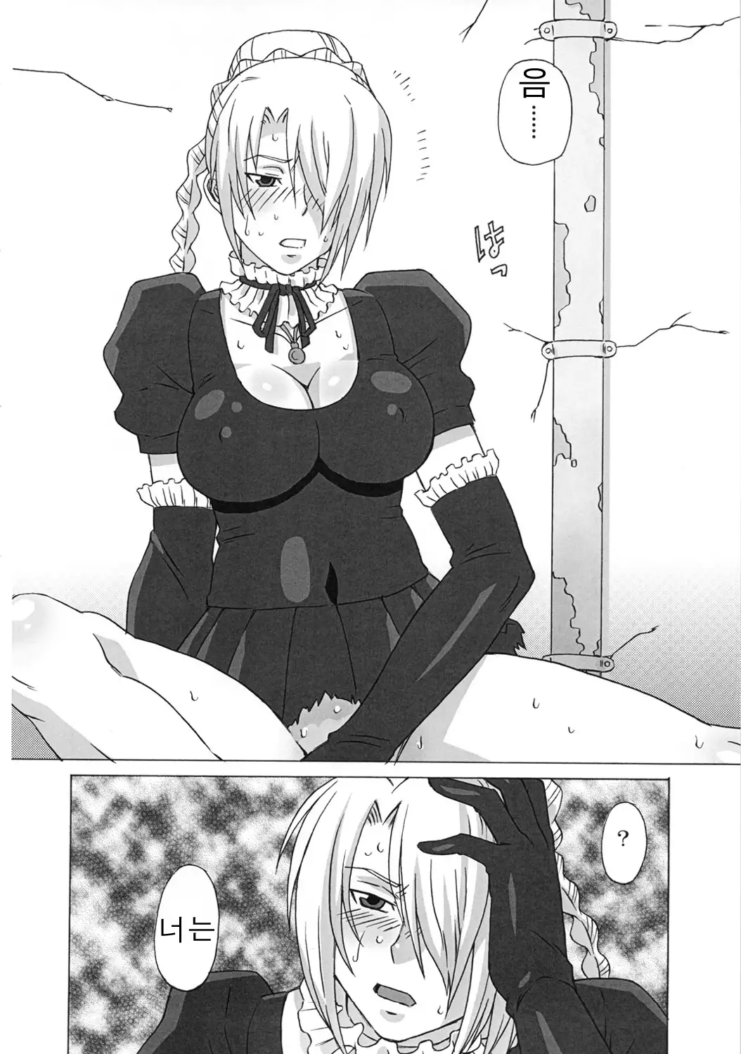 Hilda-san ni Hidoi Koto wo Shitemita