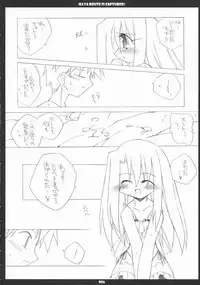 [THIRD BRAND] Illya Route Kouryaku! Ni. (Fate/Stay Night)