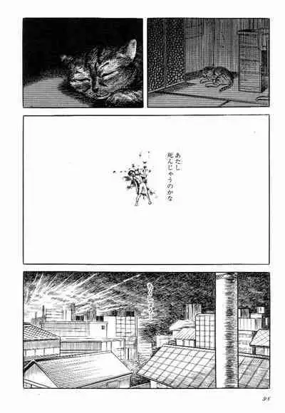 Love Letter from Kanata