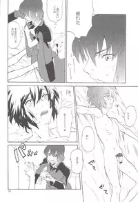 [NEO-de (Natsuzaka)] Tadashii Hito (Gundam Seed Destiny)