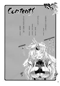 (C78) [R2 (Rakko)] Kunoichi From USA (Martial Champion) [English] [FUKE]