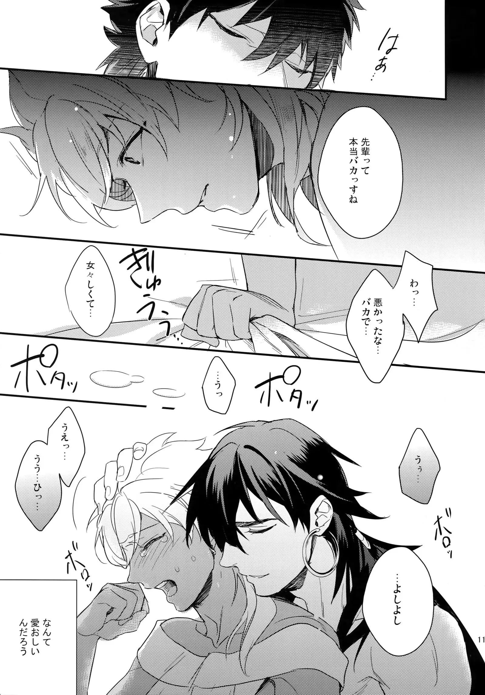 PureSlider. Sairoku 2011 - 2012