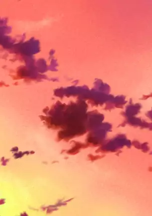 Ie Deshitara JK ni Hirowarete Ero Pet ni Narimashita.