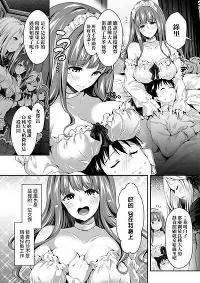 Harem Maid no Damedame Ecchi | 我與後宮女僕們♥不可告人的情事