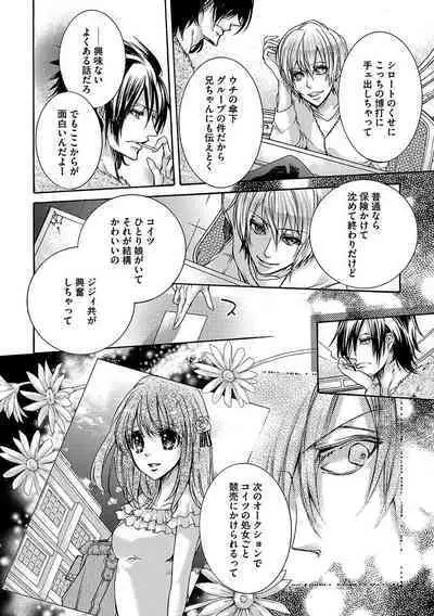 鬼畜兄弟の悶絶調教～私はいいなり奴隷～