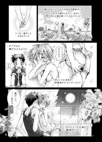 [Gensou Kuukan (Mizuhara Mei)] Citron Cinderella [Digital]