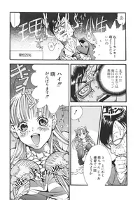 [Miyazaki Maya] Miyazaki Maya Daizukan EX Deluxe Special