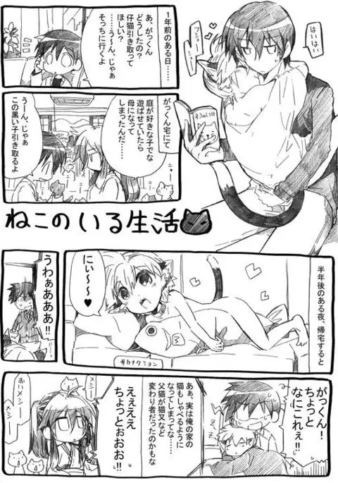 Nyanko no Iru Seikatsu