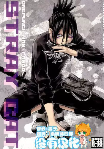 (C86) [LITHIUM (Yukimaru)] stray cat (One Punch Man) [Chinese] [没有汉化]