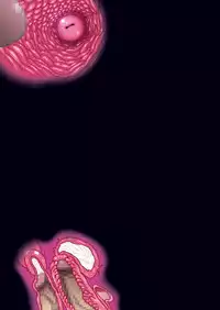 [Studio Mizuyokan (Higashitotsuka Raisuta)] Ura Settai Shiho (Girls und Panzer) [Digital]