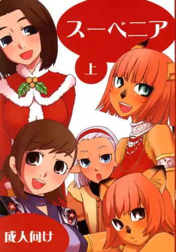 (C74) [Nichiyouban (Hoshina Shintarou)] Souvenir Jou (Final Fantasy XI)