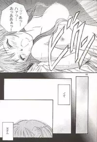 (C56) [Yakan Hikou (Inoue Tommy)] Salvia remix CHRONIC LOVE (White Album)