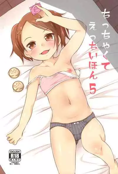 Chicchakute Ecchi Hon 5