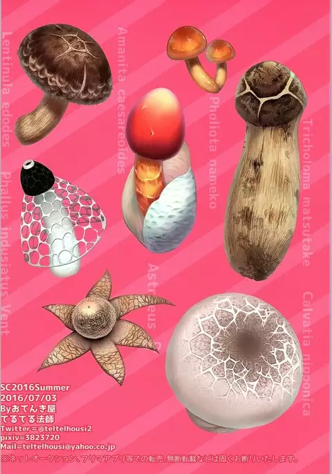 Kongou to Manatsu no Kinoko Kari? !