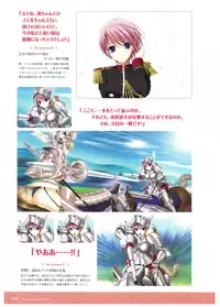 Walkure Romanze Visual Fan Book